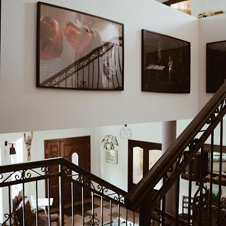 Forrest Bed & Breakfast Polanica-Zdroj Bagian luar foto