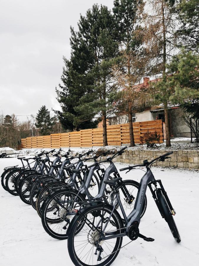 Forrest Bed & Breakfast Polanica-Zdroj Bagian luar foto