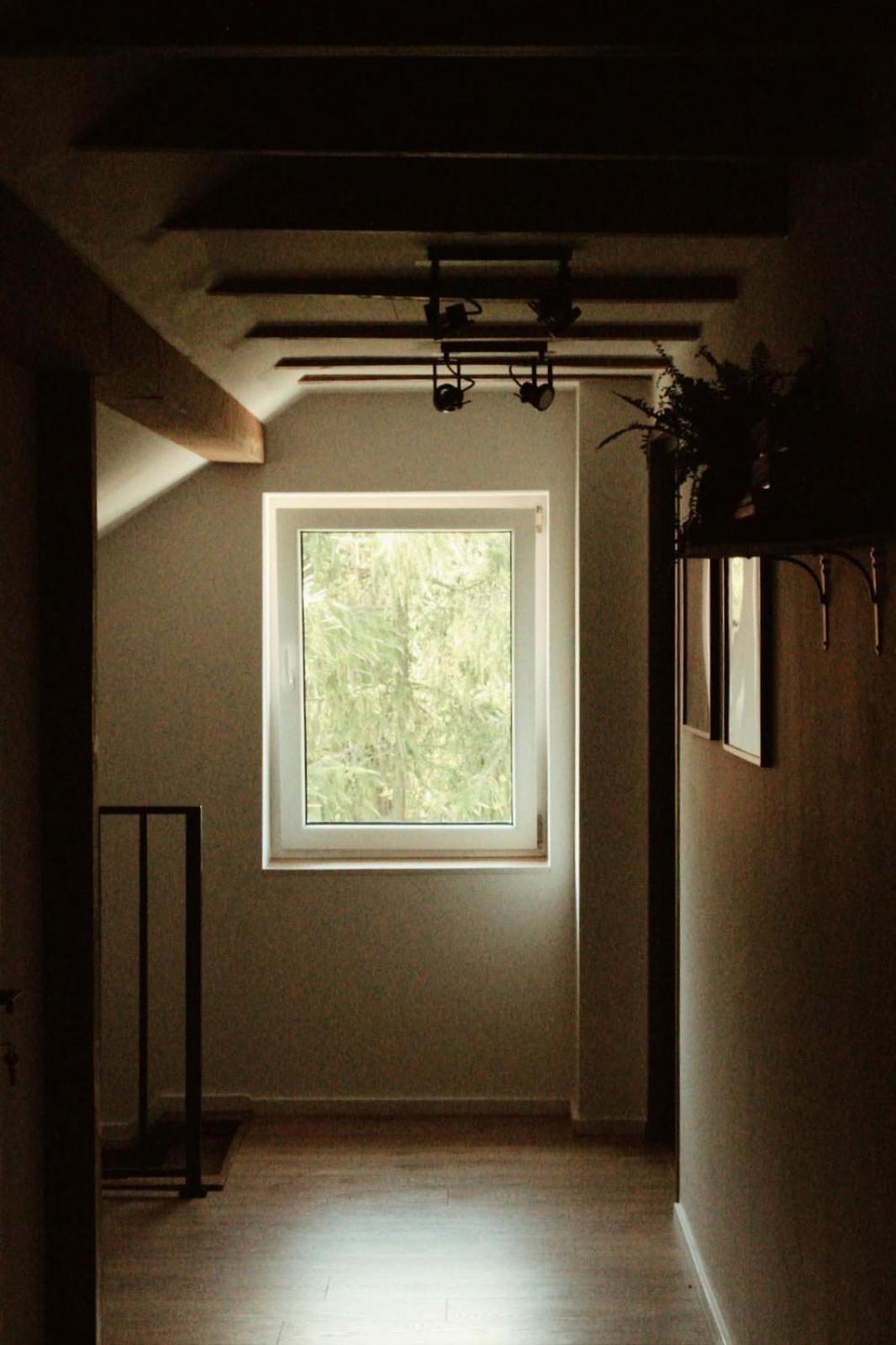 Forrest Bed & Breakfast Polanica-Zdroj Bagian luar foto